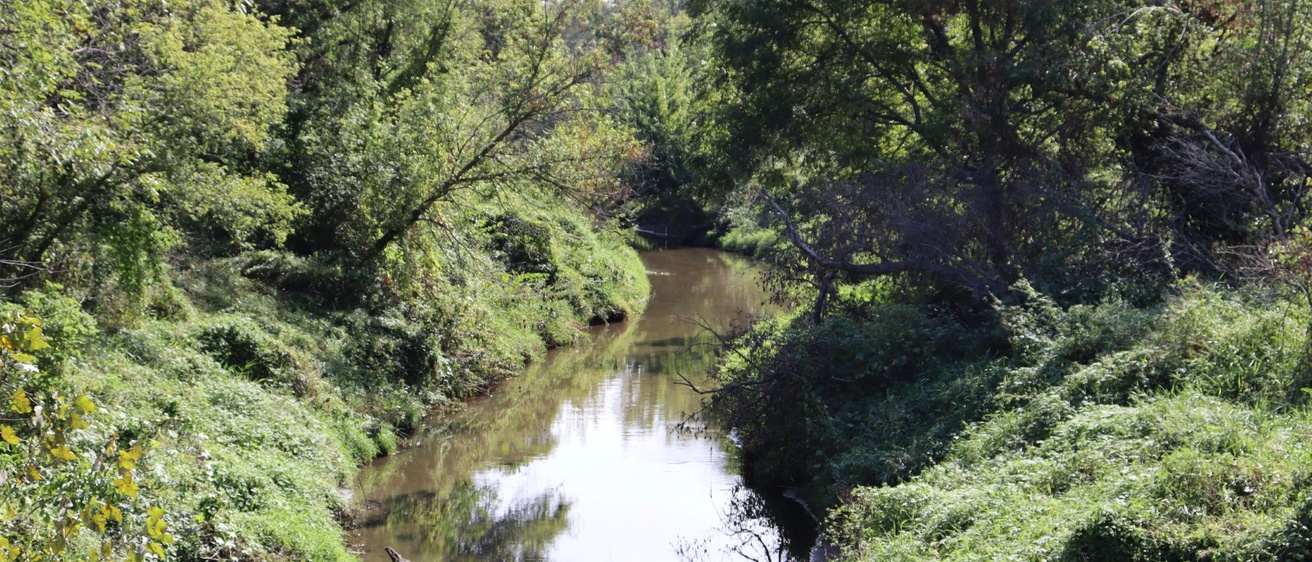 Tree-lined stream winding through dense vegetation.